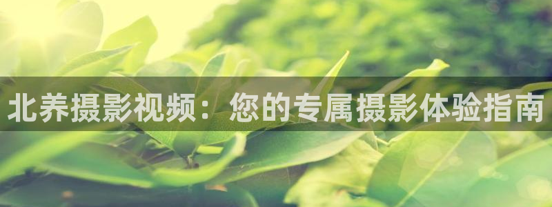 星海之外定档海报
